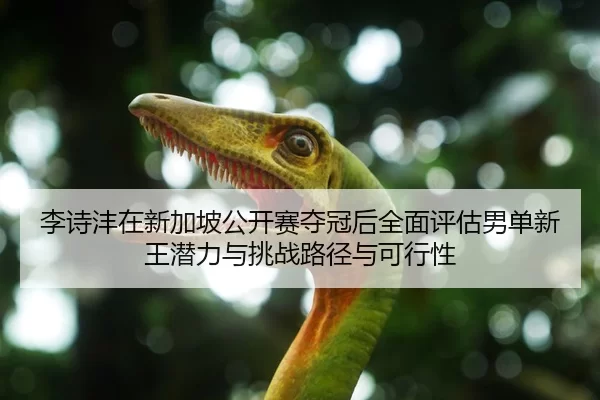 李诗沣在新加坡公开赛夺冠后全面评估男单新王潜力与挑战路径与可行性
